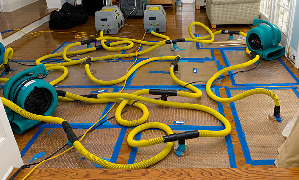 Professional Flood Damage Restoration technician working in Bloomington Springs, TN
